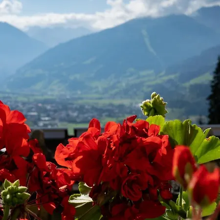 Alpesi faház Schroeckgut Bad Hofgastein