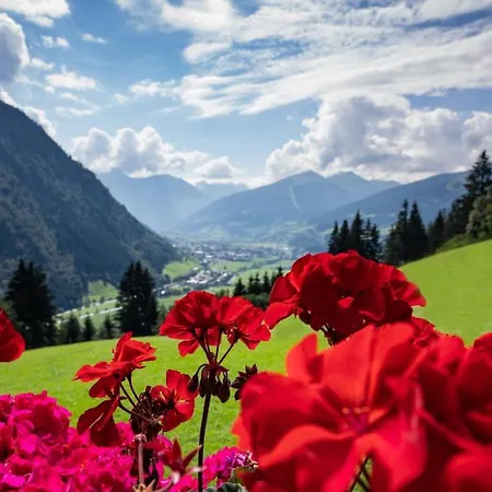 Schroeckgut Dağ evi