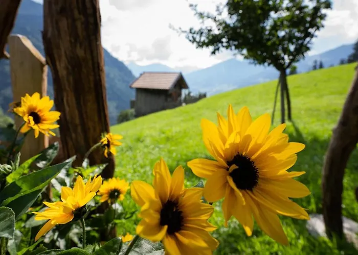 Schroeckgut 巴特霍夫加施泰因