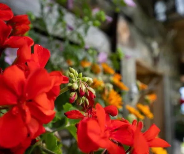 木屋 Schroeckgut 巴特霍夫加施泰因