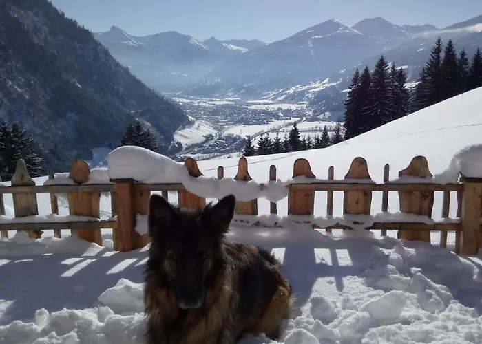 Schroeckgut * 巴特霍夫加施泰因